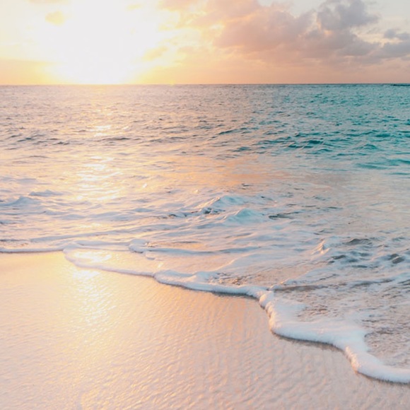 Welcome to my closet! - Picture 1 of 1